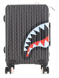 Trolley&nbsp;Sprayground
