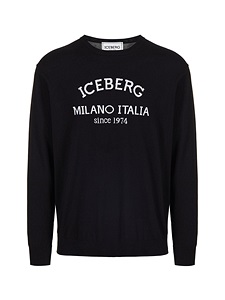 Iceberg Camisa