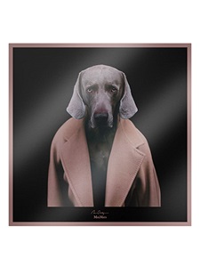 Foulard Max Mara Carremadamedog&nbsp;