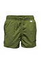 Verde Militare