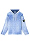 Felpa Stone Island