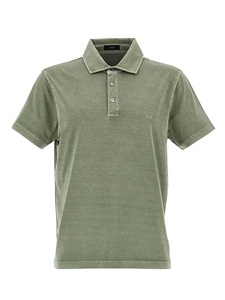 Polo Fay