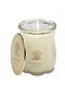 candela Creed Spring Flower