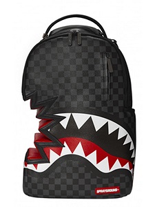 sprayground
